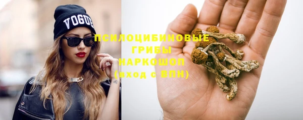 MESCALINE Карпинск