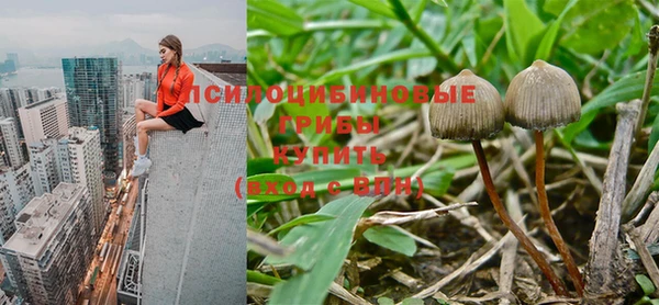 МДПВ Касимов