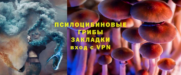 МДПВ Касимов