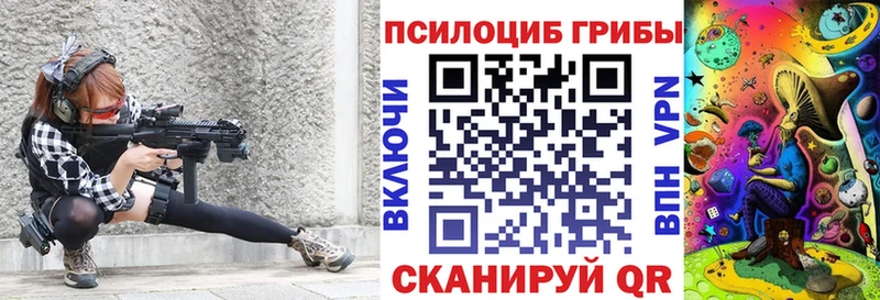 Купить  Наволоки  Псилоцибиновые грибы Cubensis 